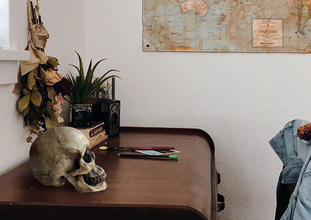 Lifesize Human Skull, 8,5'