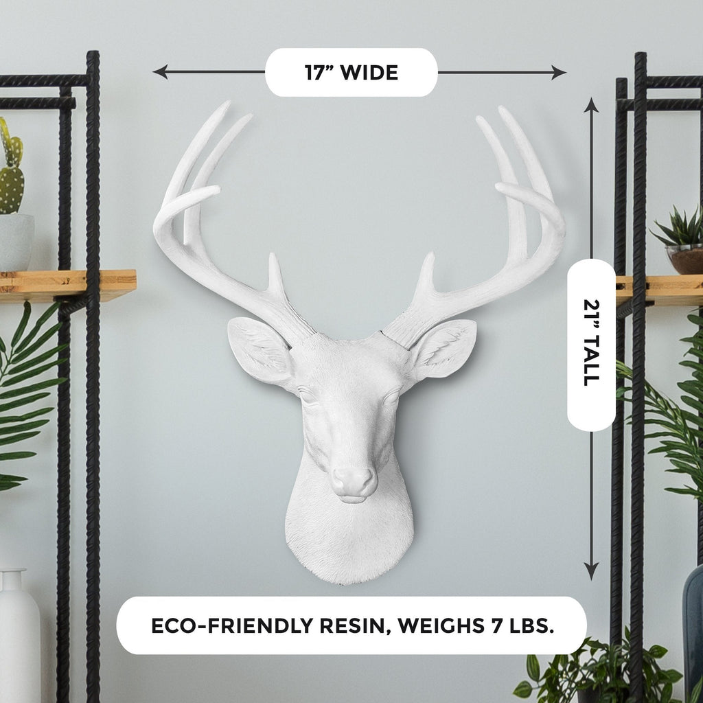 Weiß Deer Head, 21'