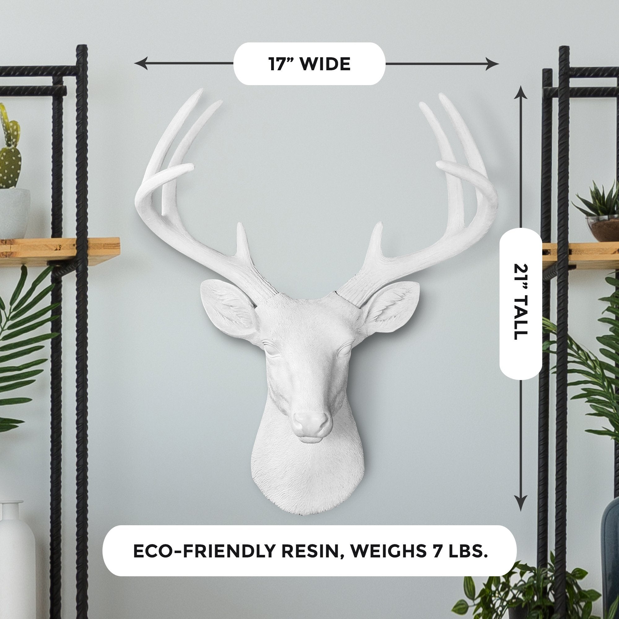 Weiß Deer Head, 21'