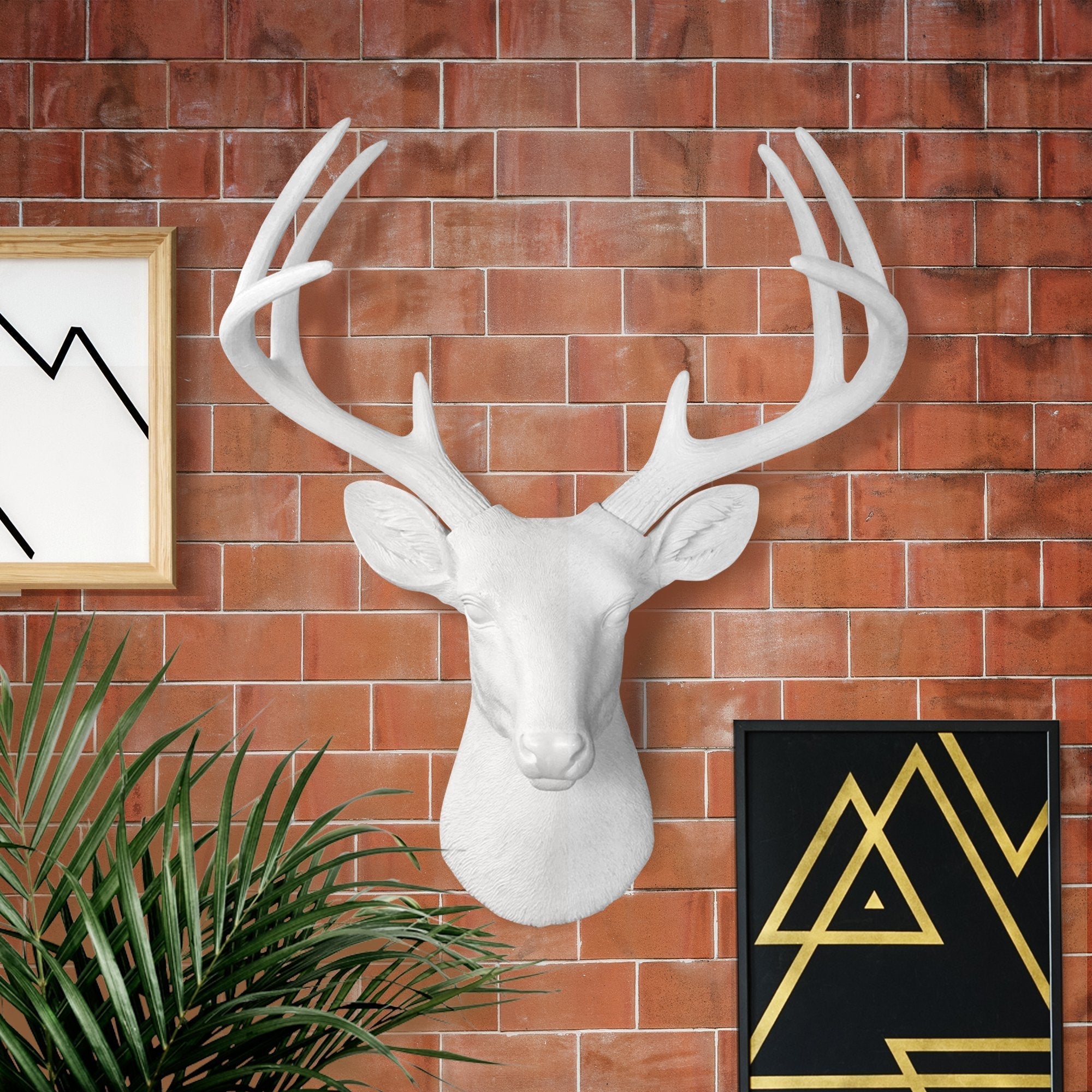 Weiß Deer Head, 21'
