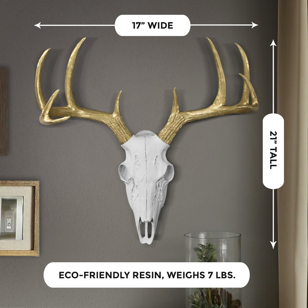 Weiß + Gold Deer Skull, 21'