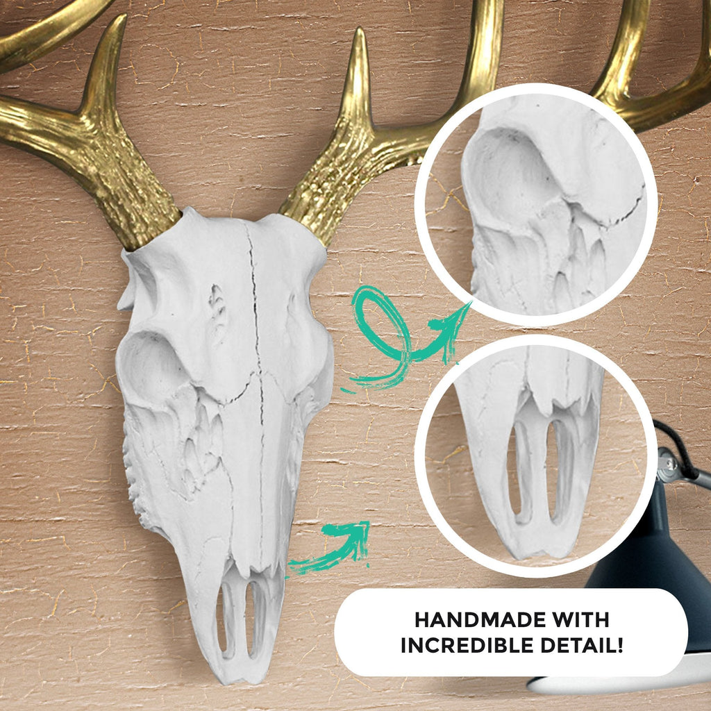 Weiß + Gold Deer Skull, 21'