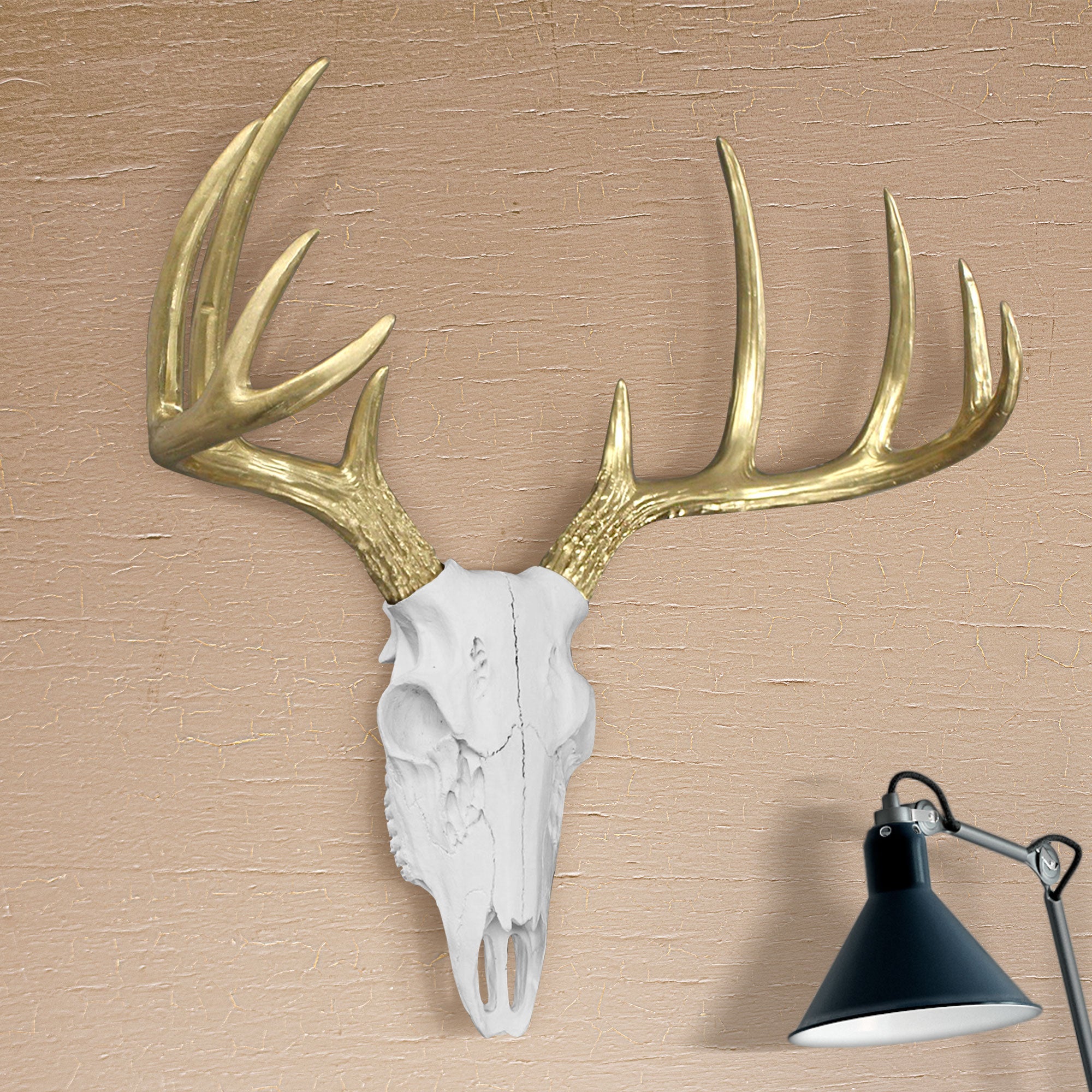 Weiß + Gold Deer Skull, 21'