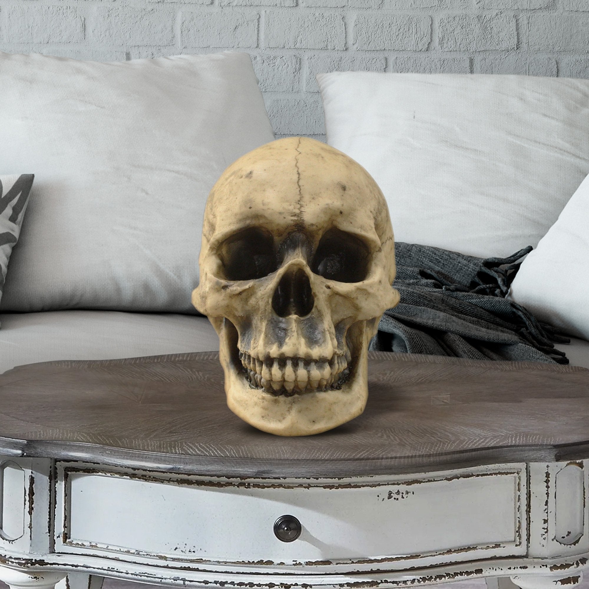 Lifesize Human Skull, 8,5'