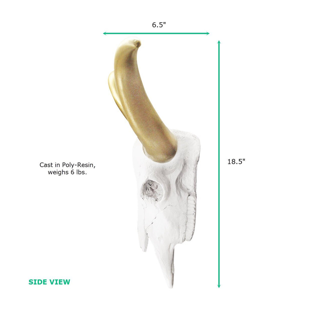 Large Weiß + Gold Faux Longhorn Skull, 27,5'