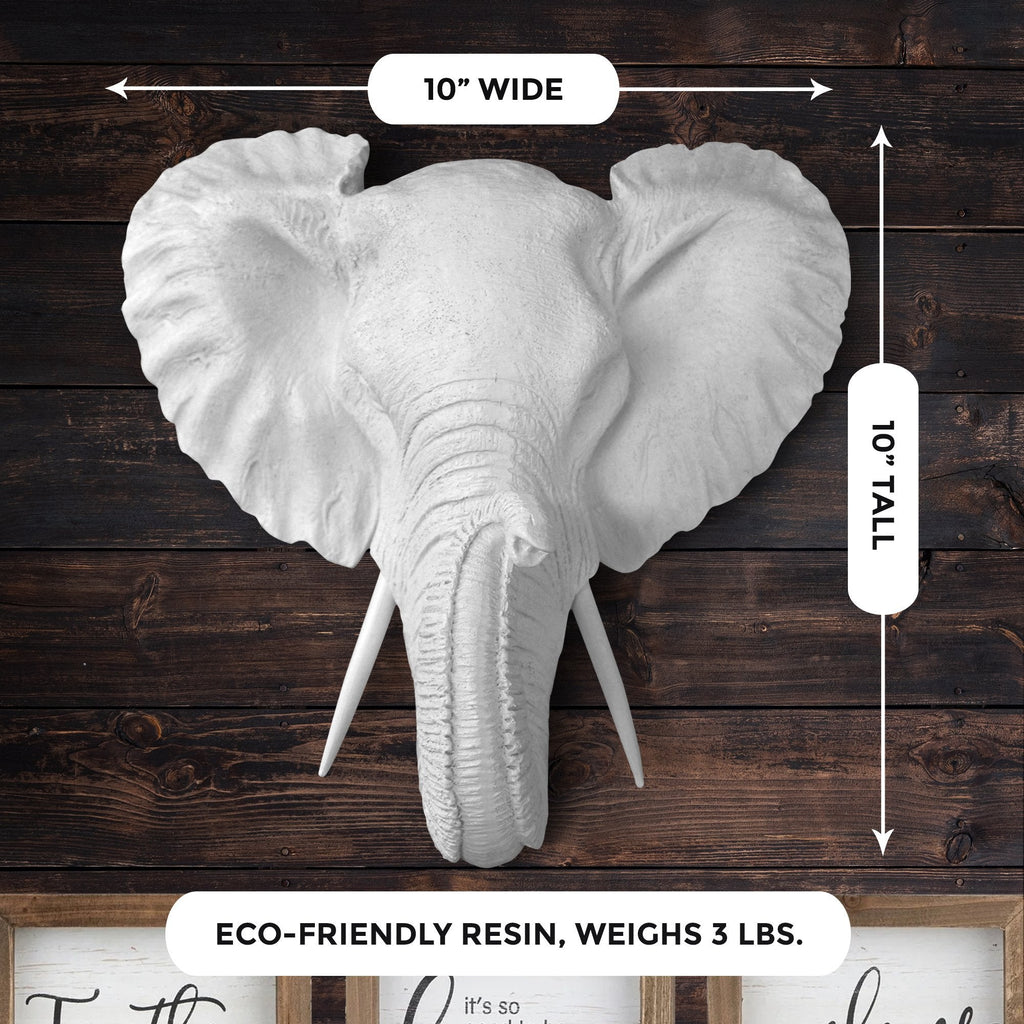 Mini Weißer Elefant, 10'