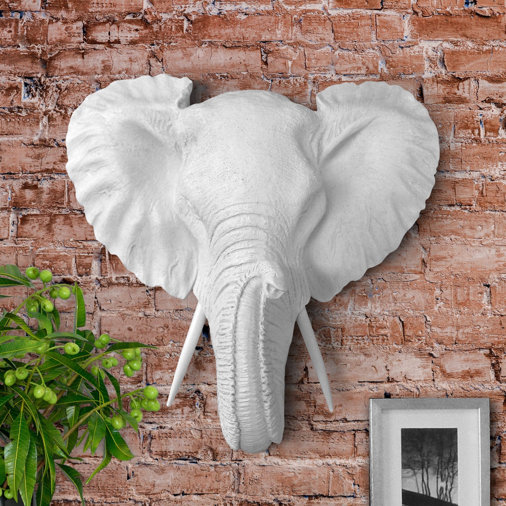 Mini Weißer Elefant, 10'