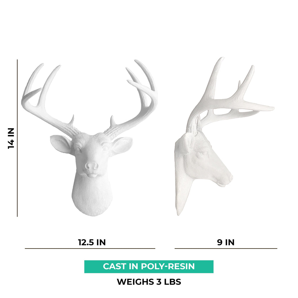 Mini Weiß Deer Head, 14'