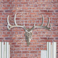 Carved Deer Skull, 21'