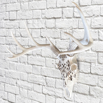 Carved Deer Skull, 21'