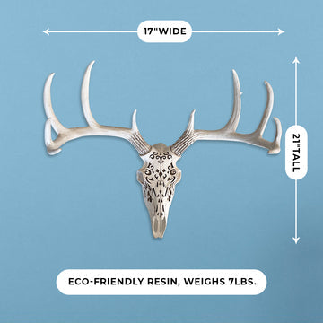 Carved Deer Skull, 21'
