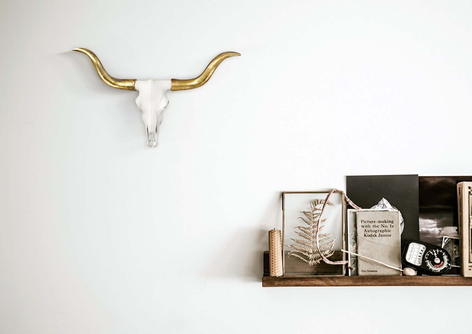 Weiß + Gold Mini Faux Longhorn Skull, 20'