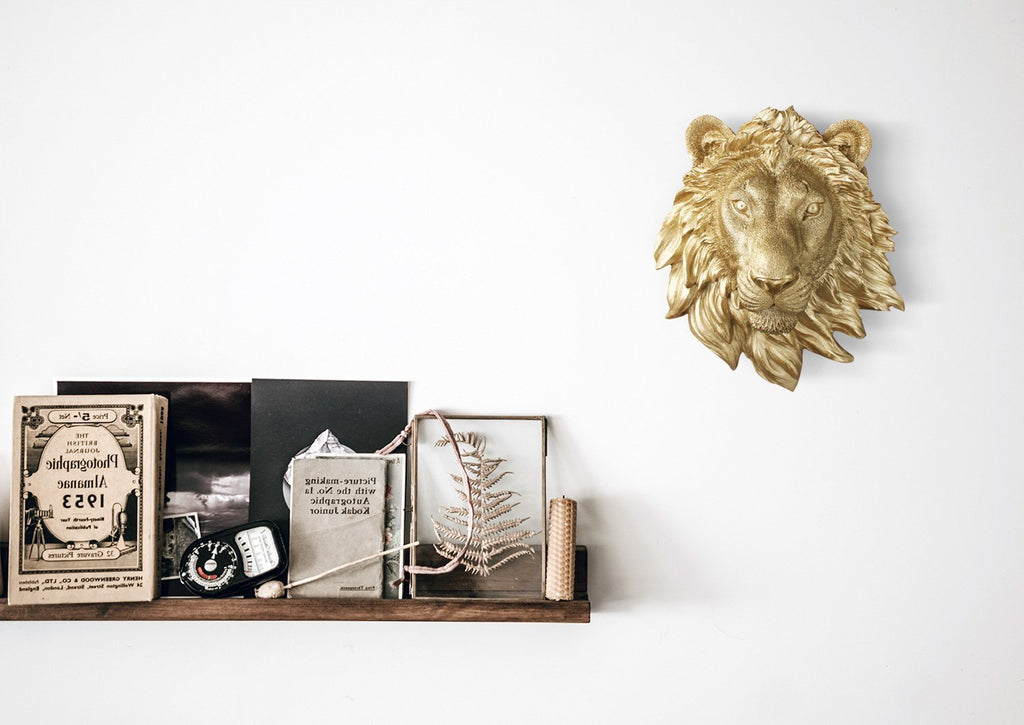 Mini Gold Lion, 9'