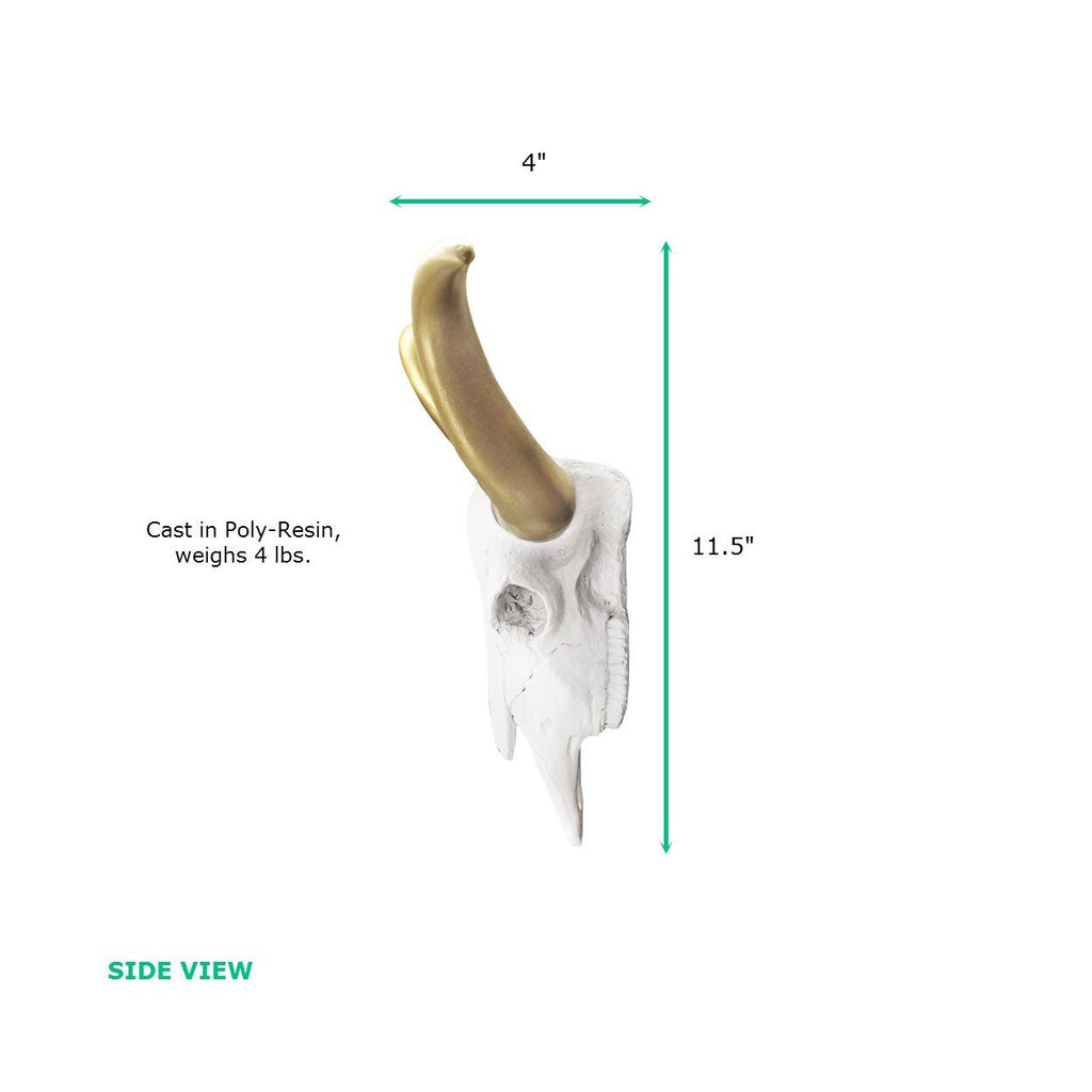 Weiß + Gold Mini Faux Longhorn Skull, 20'