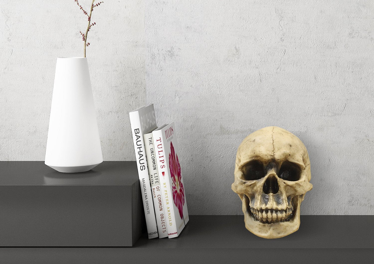 Lifesize Human Skull, 8,5'